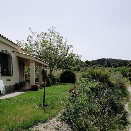S'Orrosa Casa Vacanze Bifamiliare In Montagna Panorama Stupendo Sardegna Seulo Екстер'єр фото
