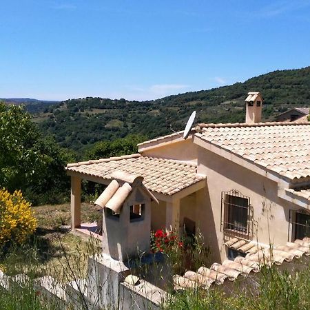 S'Orrosa Casa Vacanze Bifamiliare In Montagna Panorama Stupendo Sardegna Seulo Екстер'єр фото