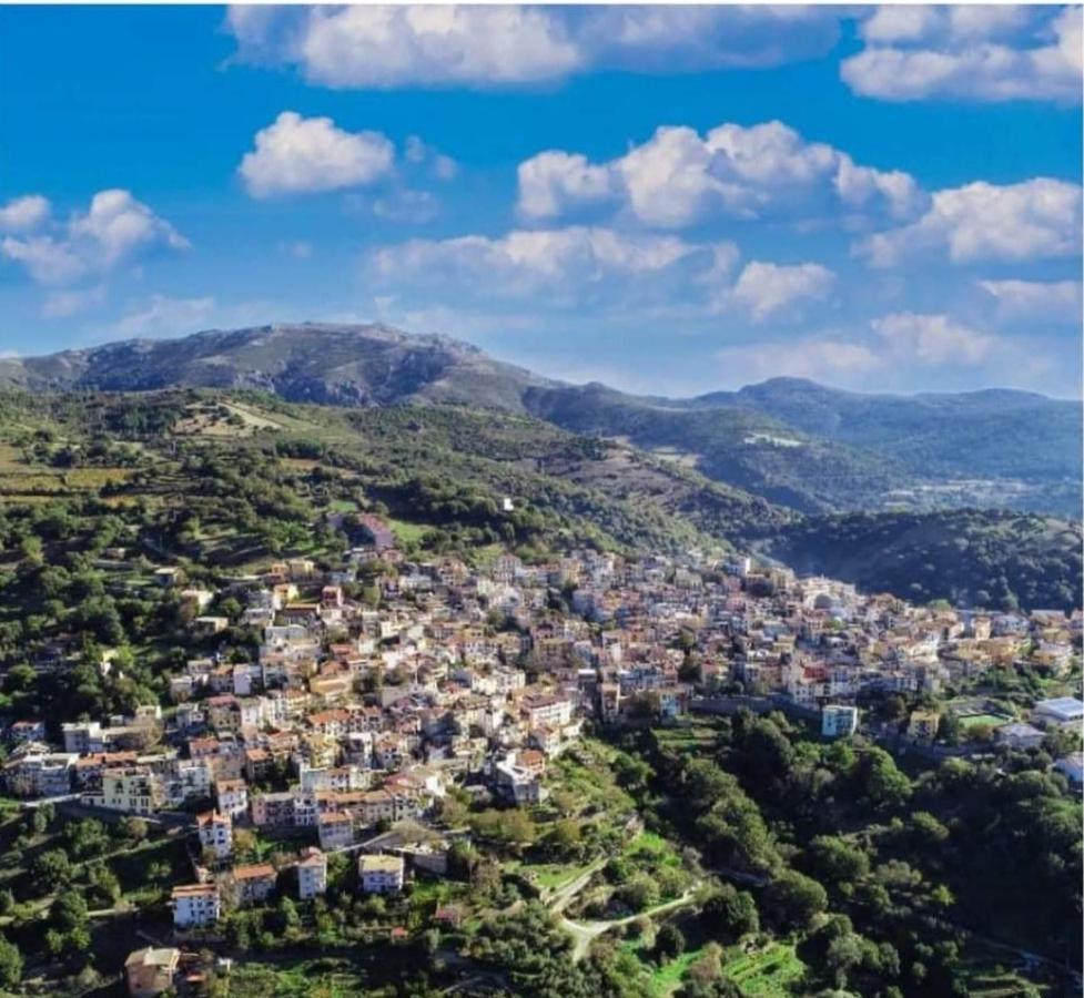 S'Orrosa Casa Vacanze Bifamiliare In Montagna Panorama Stupendo Sardegna Seulo Екстер'єр фото