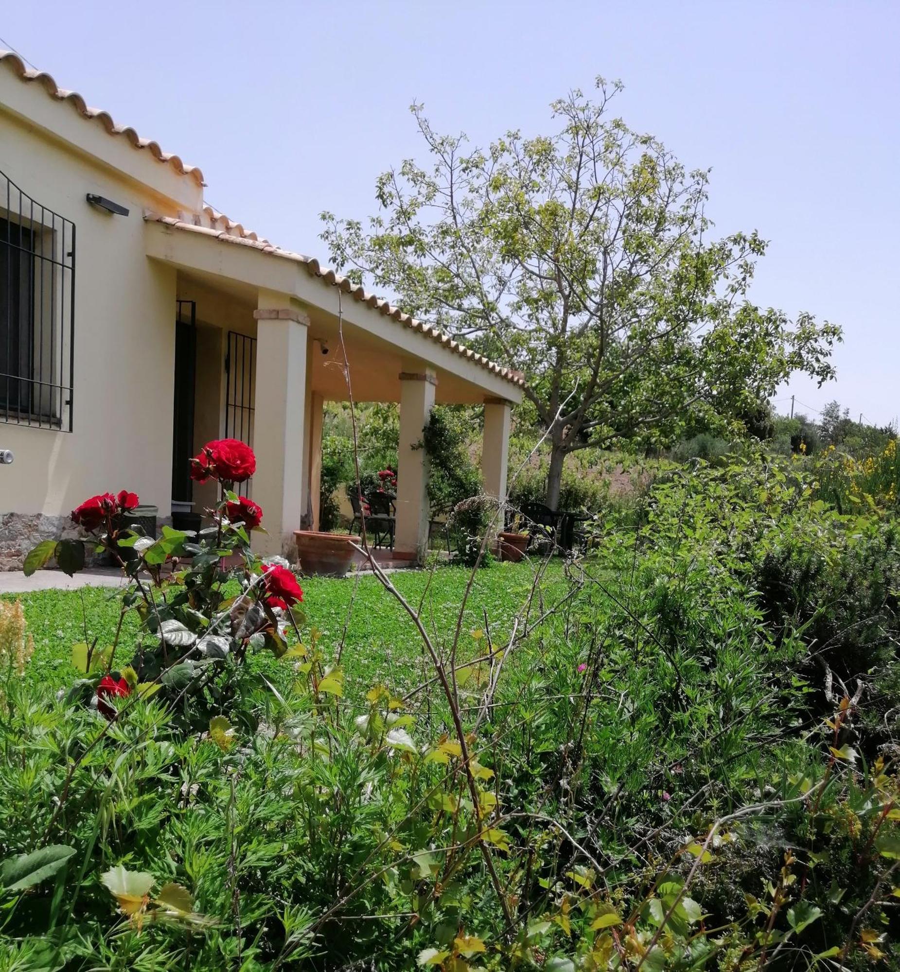 S'Orrosa Casa Vacanze Bifamiliare In Montagna Panorama Stupendo Sardegna Seulo Екстер'єр фото