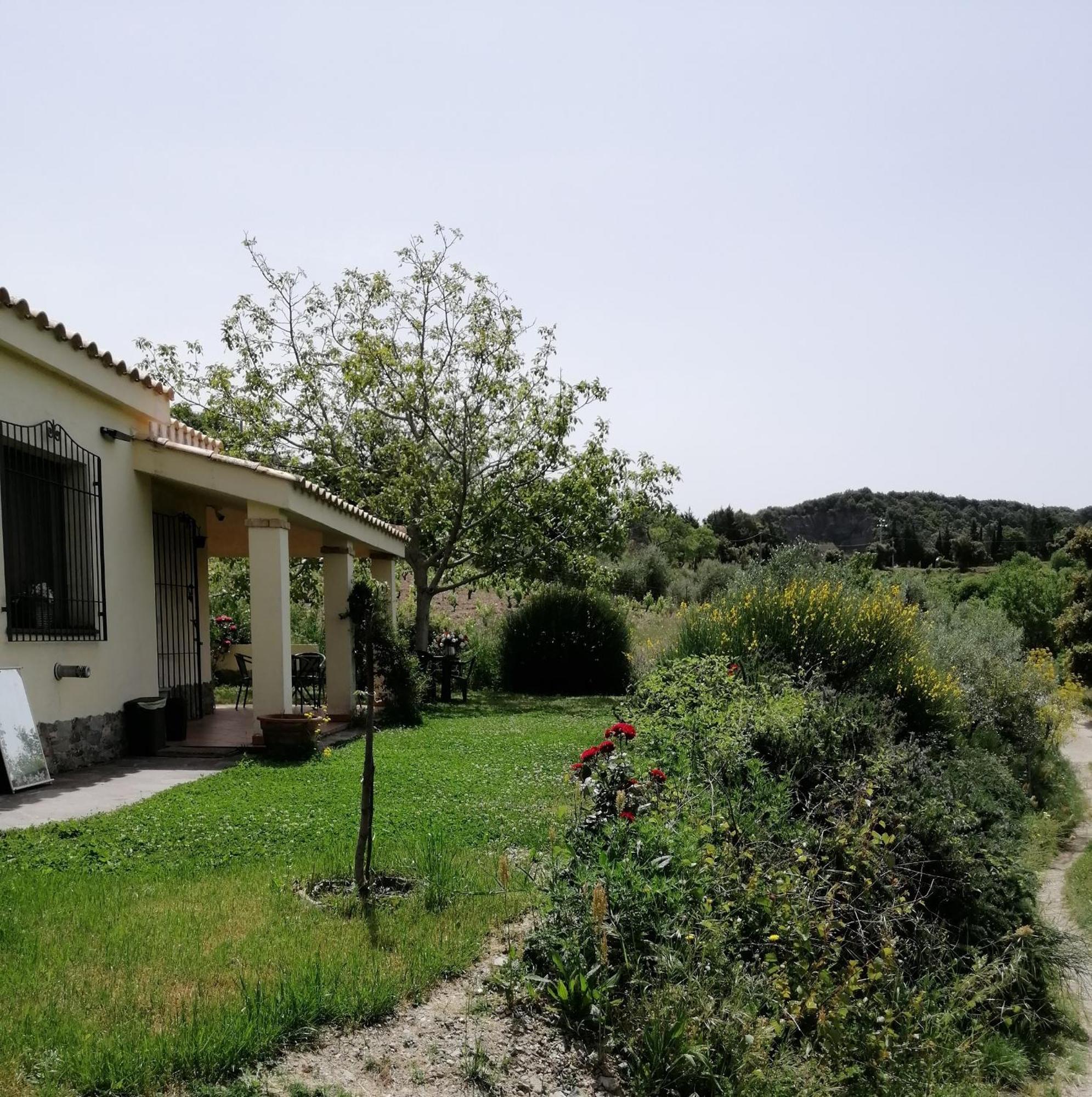 S'Orrosa Casa Vacanze Bifamiliare In Montagna Panorama Stupendo Sardegna Seulo Екстер'єр фото