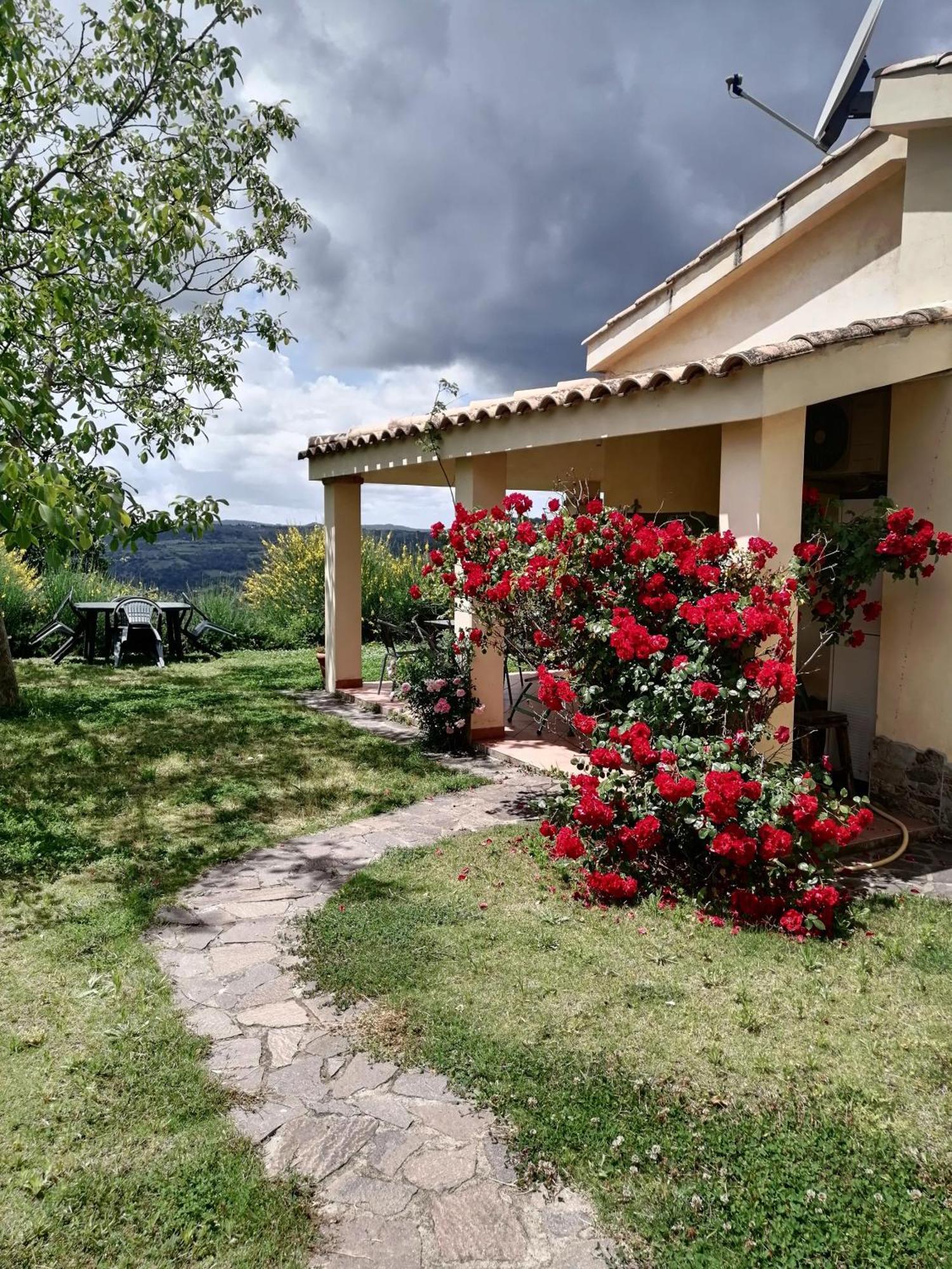S'Orrosa Casa Vacanze Bifamiliare In Montagna Panorama Stupendo Sardegna Seulo Екстер'єр фото