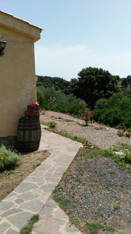 S'Orrosa Casa Vacanze Bifamiliare In Montagna Panorama Stupendo Sardegna Seulo Екстер'єр фото