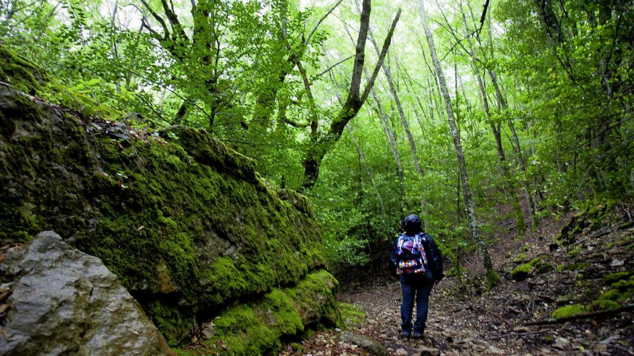 S'Orrosa Casa Vacanze Bifamiliare In Montagna Panorama Stupendo Sardegna Seulo Екстер'єр фото