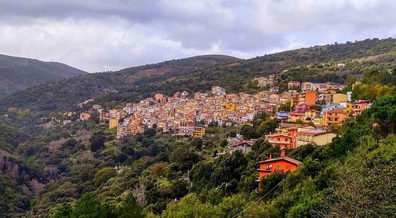 S'Orrosa Casa Vacanze Bifamiliare In Montagna Panorama Stupendo Sardegna Seulo Екстер'єр фото