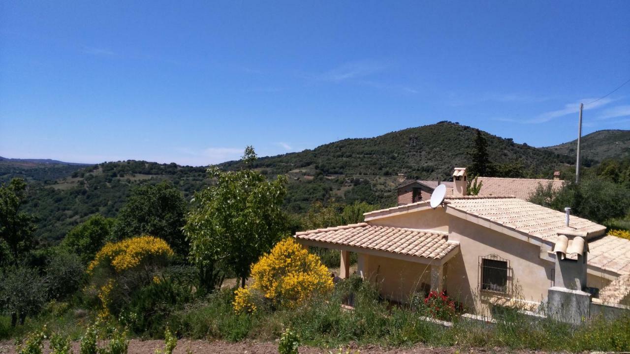 S'Orrosa Casa Vacanze Bifamiliare In Montagna Panorama Stupendo Sardegna Seulo Екстер'єр фото