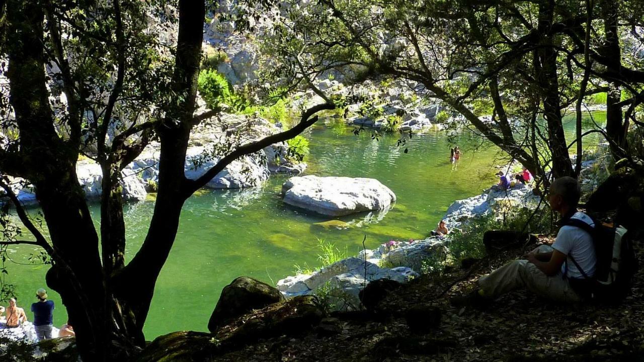 S'Orrosa Casa Vacanze Bifamiliare In Montagna Panorama Stupendo Sardegna Seulo Екстер'єр фото