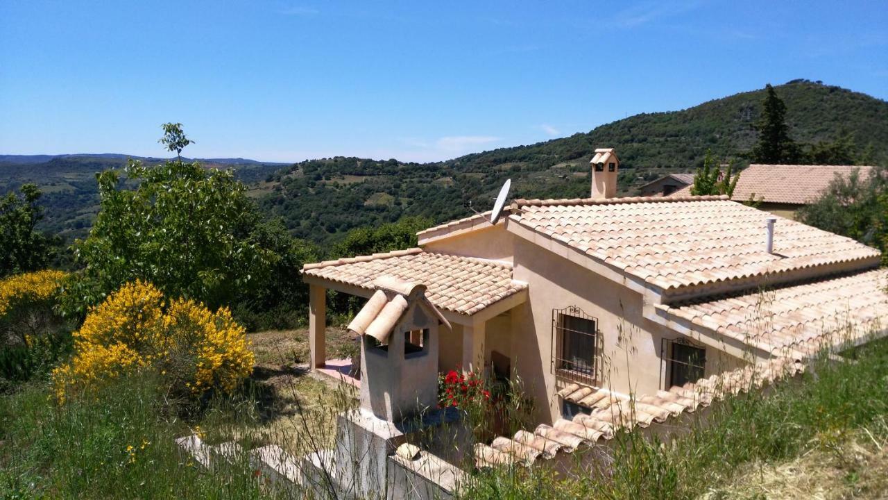 S'Orrosa Casa Vacanze Bifamiliare In Montagna Panorama Stupendo Sardegna Seulo Екстер'єр фото